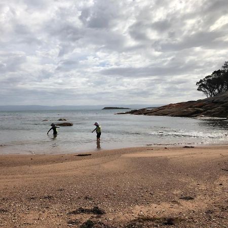 Beachcroft Coles Bay Eksteriør billede